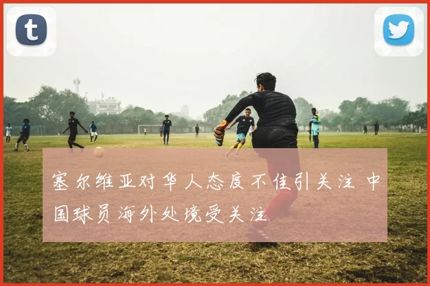 塞尔维亚对华人态度不佳引关注 中国球员海外处境受关注