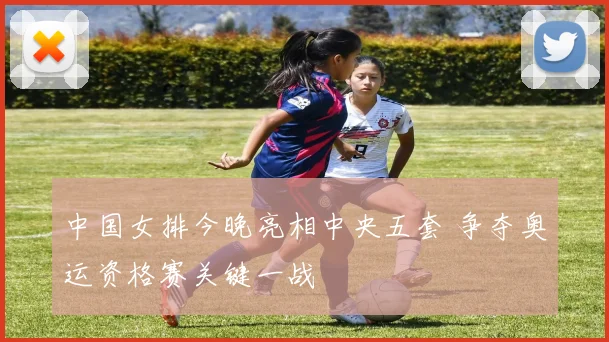 中国女排今晚亮相中央五套 争夺奥运资格赛关键一战