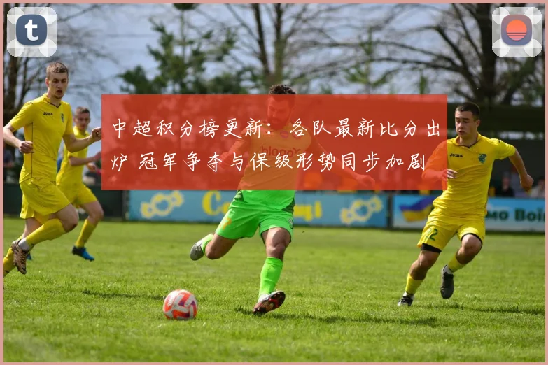 中超积分榜更新:各队最新比分出炉 冠军争夺与保级形势同步加剧